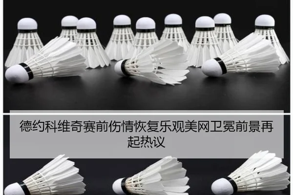 德约科维奇赛前伤情恢复乐观美网卫冕前景再起热议